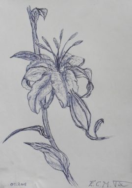 Blumen-Skizze, Kugelschreiber, 2008, 29,7 x 21 cm